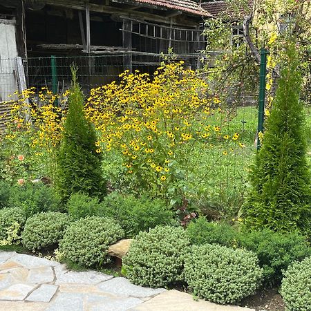 Verta House تريفنا المظهر الخارجي الصورة